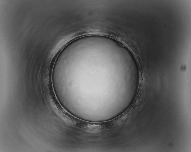 X0000115620055200911241633