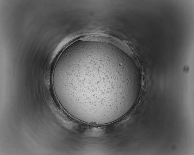 X0000115620056200911241633