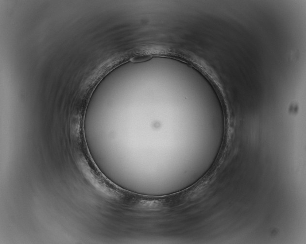 X0000115620057200911241633