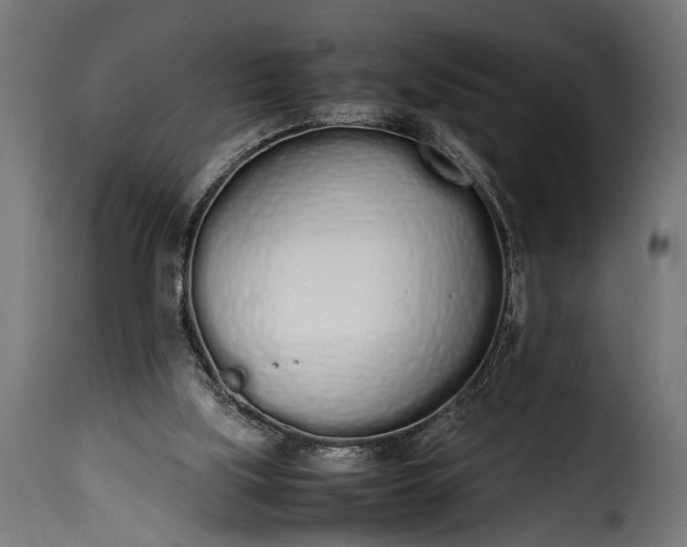 X0000115620059200911241633