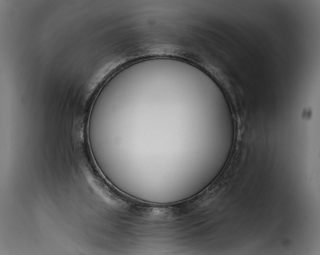 X0000115620060200911241633