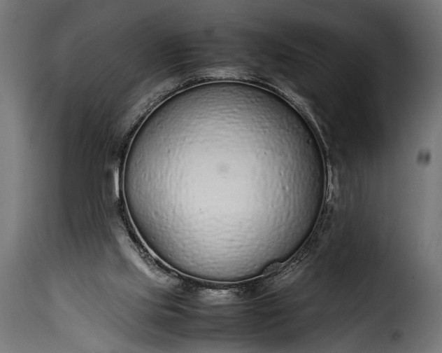 X0000115620061200911241633