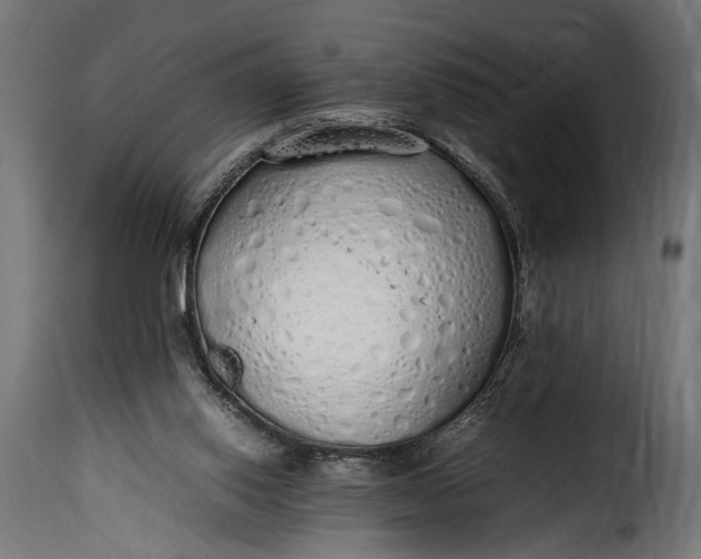 X0000115620062200911241633