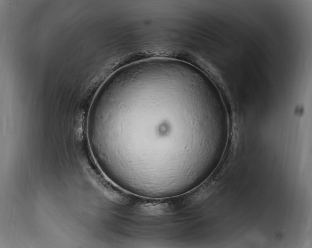 X0000115620065200911241633