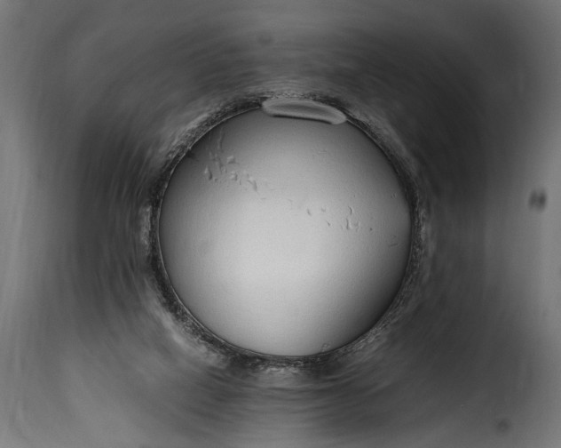 X0000115620066200911241633