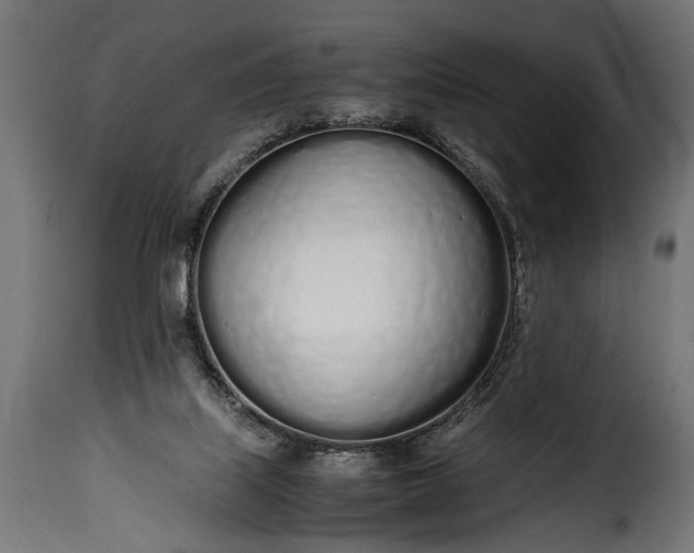 X0000115620067200911241633