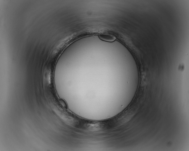 X0000115620068200911241633