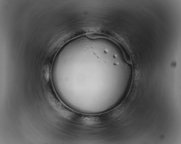 X0000115620069200911241633