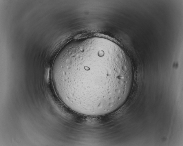 X0000115620070200911241633