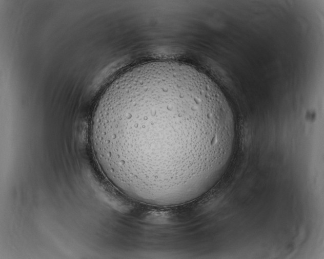 X0000115620071200911241633