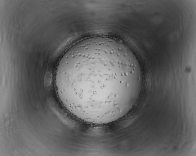 X0000115620072200911241633