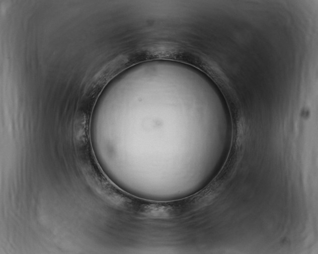 X0000115620073200911241633