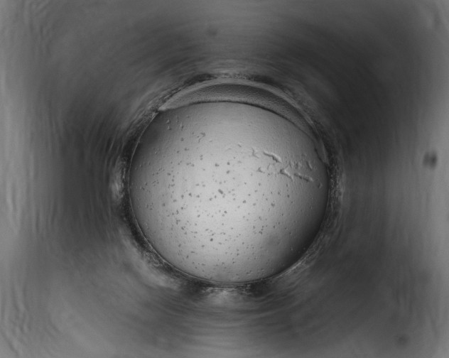 X0000115620074200911241633