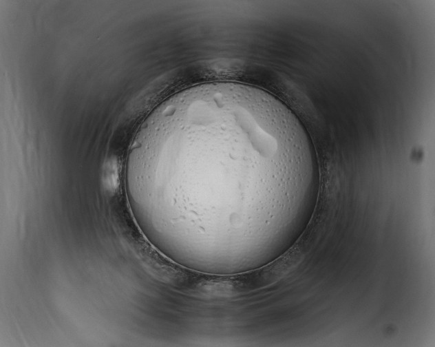 X0000115620075200911241633