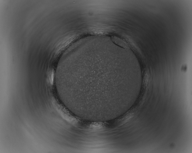 X0000115620076200911241633