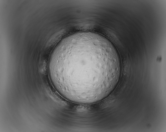 X0000115620077200911241633