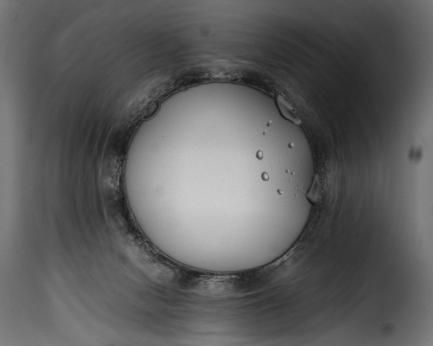 X0000115620078200911241633