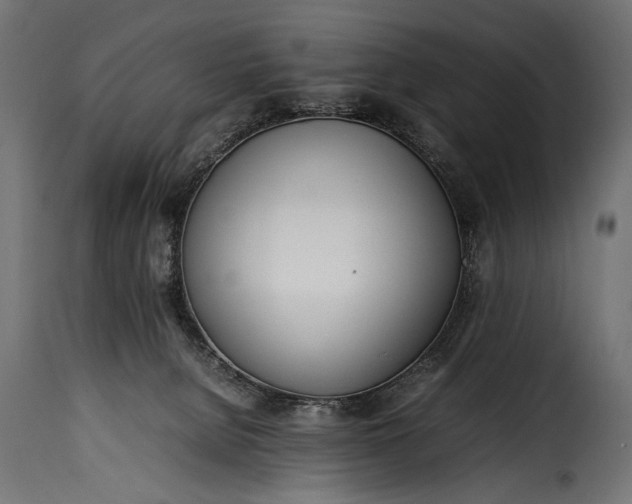 X0000115620080200911241633