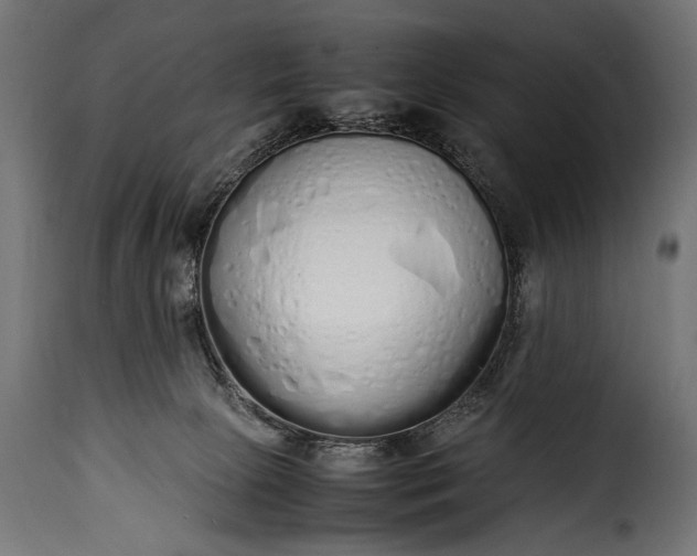 X0000115620081200911241633