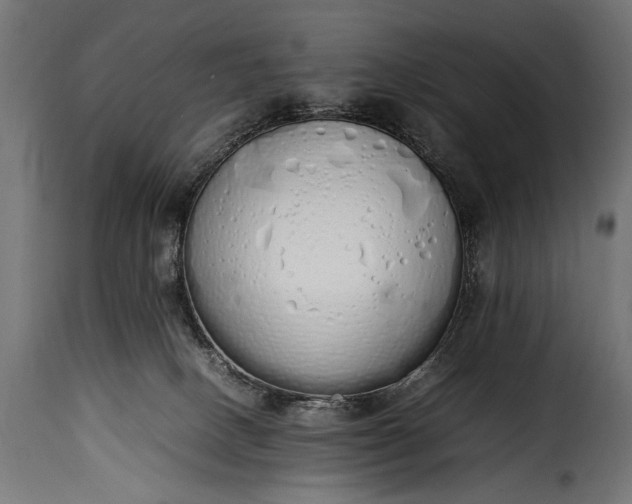 X0000115620082200911241633