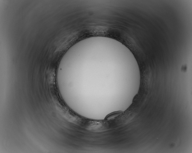 X0000115620083200911241633