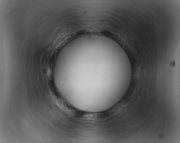 X0000115620084200911241633