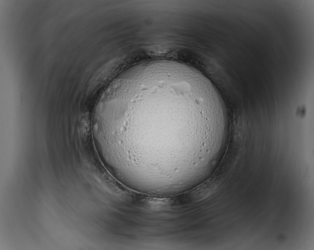 X0000115620085200911241633