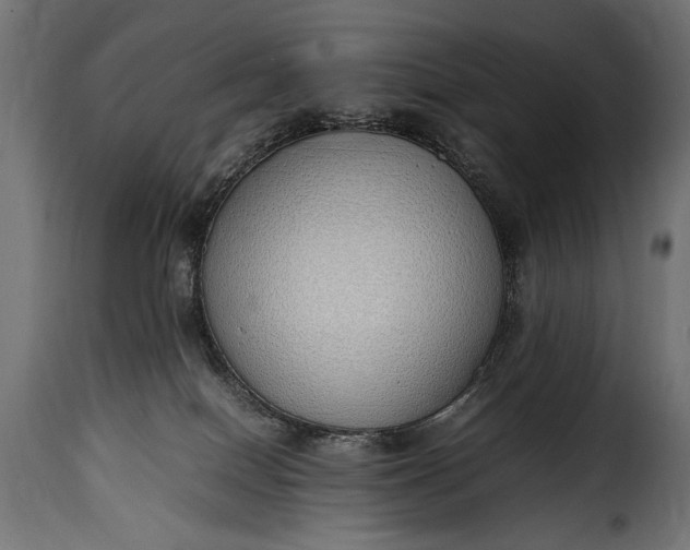 X0000115620086200911241634