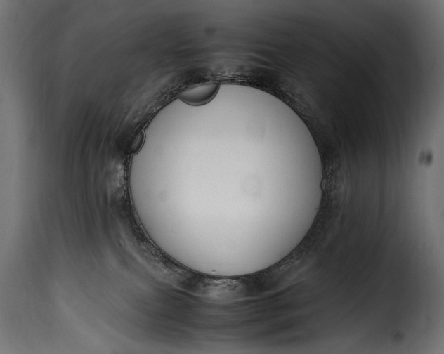 X0000115620087200911241634