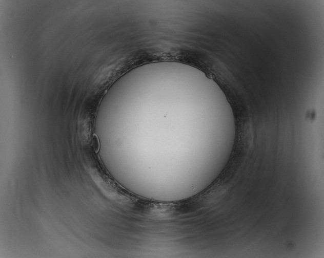 X0000115620088200911241634