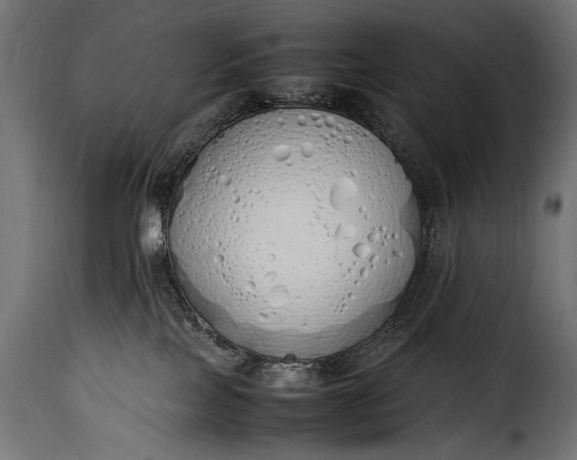 X0000115620089200911241634