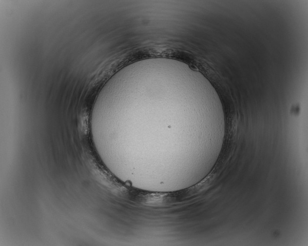 X0000115620090200911241634