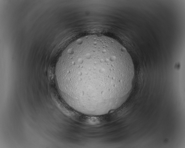 X0000115620091200911241634