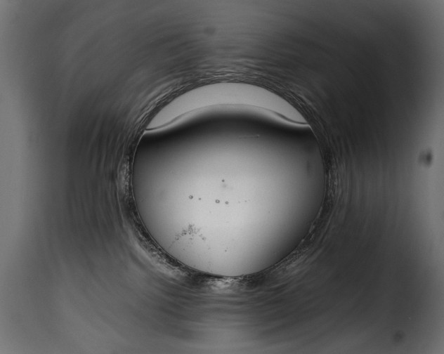 X0000115620092200911241634