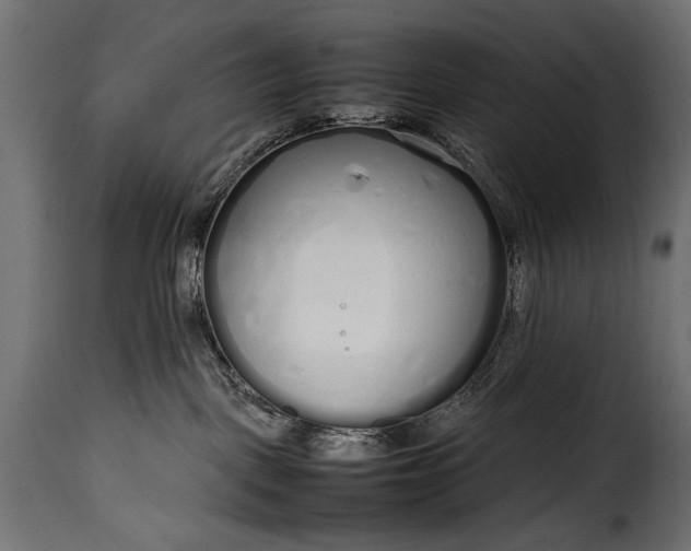 X0000115620093200911241634