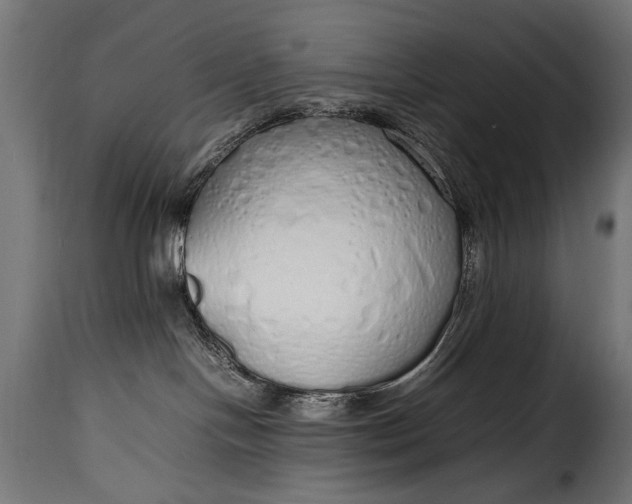 X0000115620094200911241634