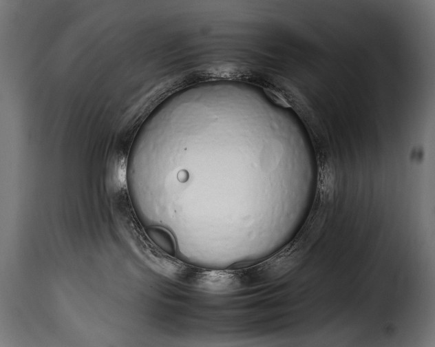 X0000115620095200911241634