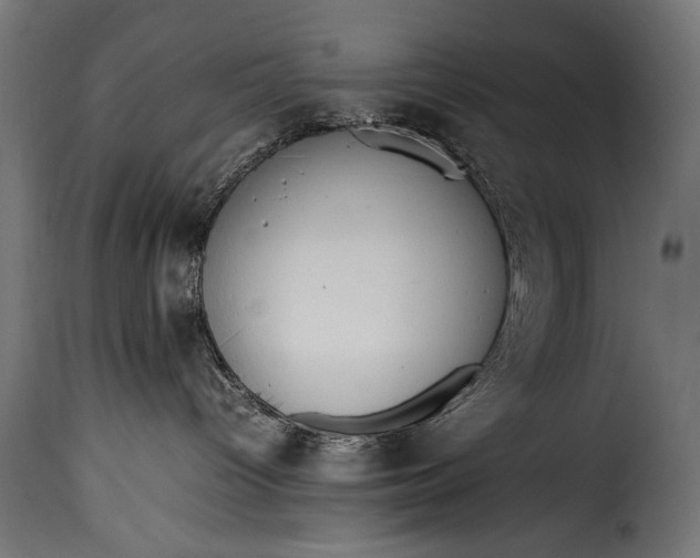 X0000115620096200911241634