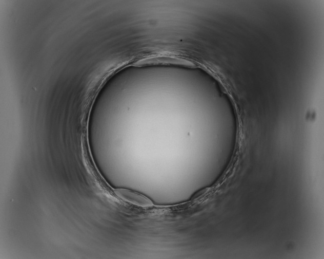 X0000115620097200911241633