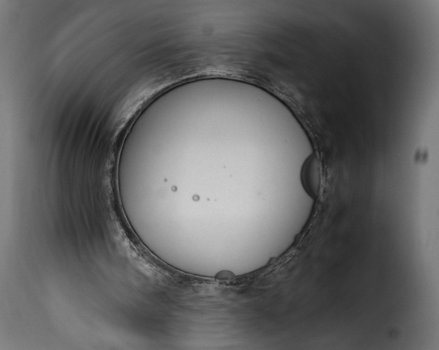 X0000115620098200911241633