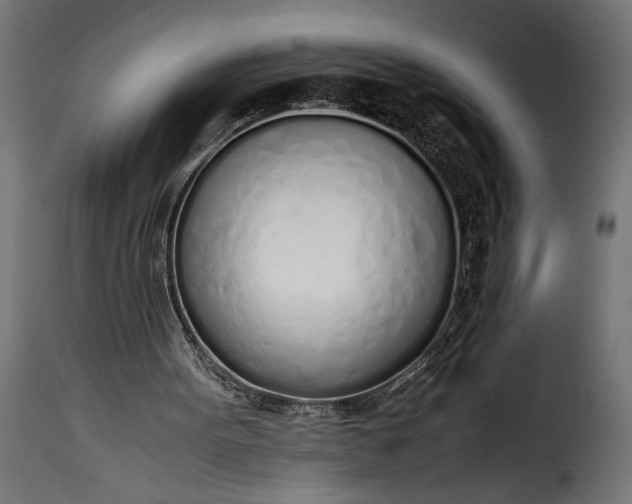 X0000115620099200911241633