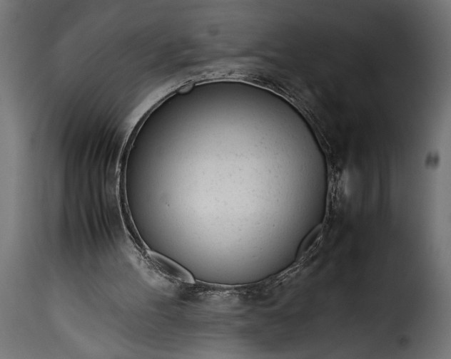 X0000115620100200911241633