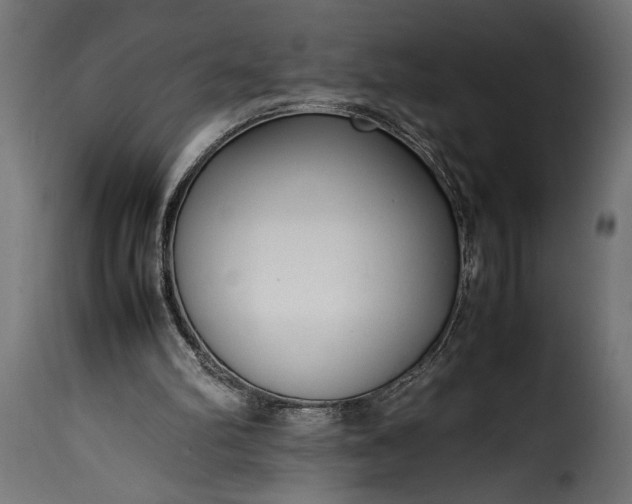 X0000115620102200911241633