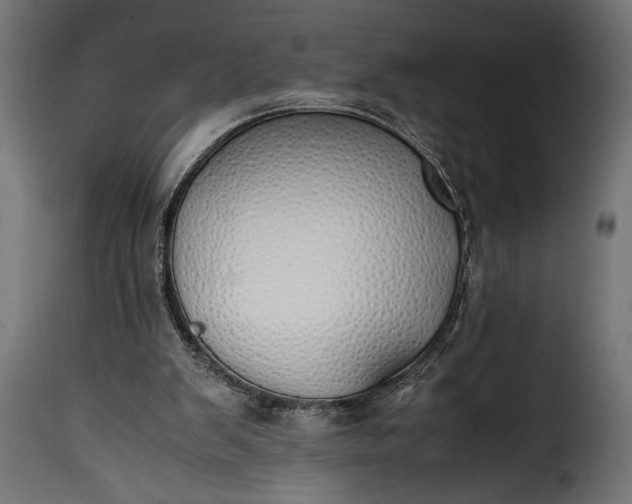 X0000115620103200911241633