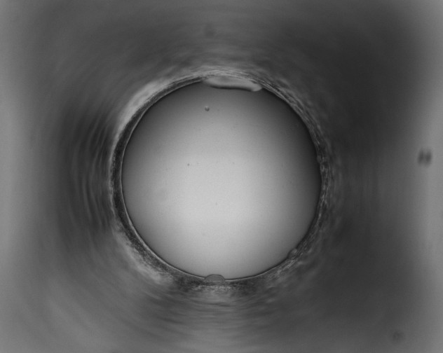 X0000115620104200911241633