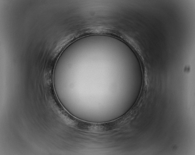 X0000115620105200911241633