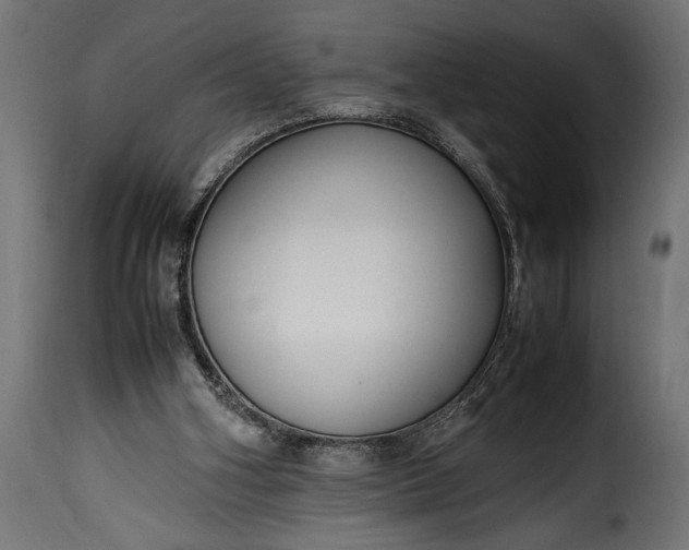 X0000115620106200911241633