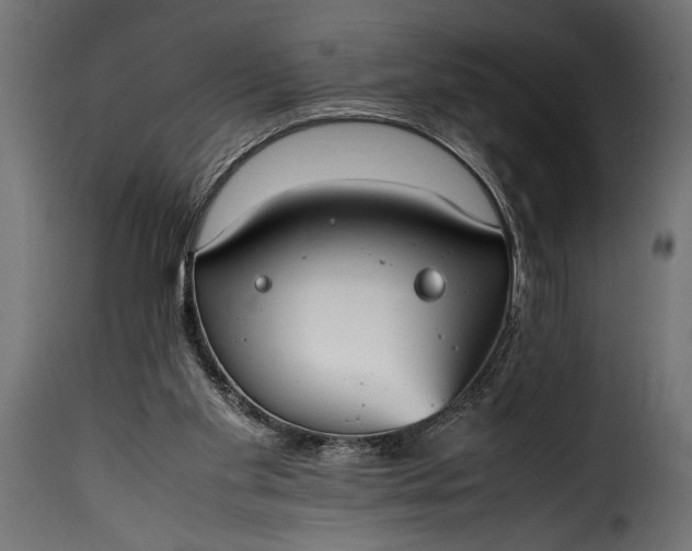 X0000115620109200911241633