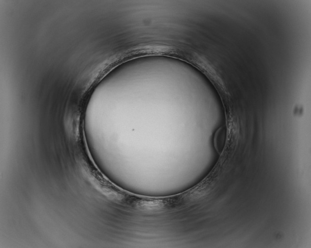 X0000115620110200911241633