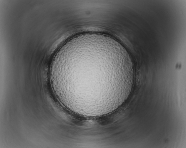 X0000115620111200911241633